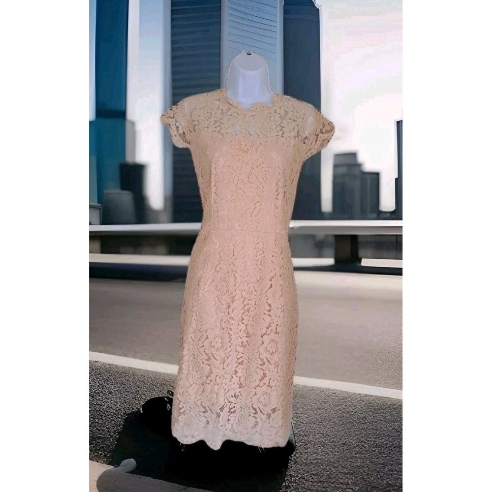 Women's Lace Cocktail Dress L Tan Cap Sleeves Zip Merokeety Formal Wedding NWT